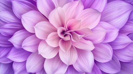 Fototapeta premium Artistic Flowers arranged in a stunning mandala pattern, combining nature and creative symmetry