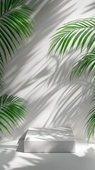 Obraz premium Bright Indoor Space With Natural Light and Palm Leaves Casting Shadows on a White Wall