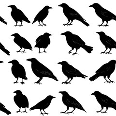 Fototapeta premium Collection of Crows pattern vector designs, Crows tiled design