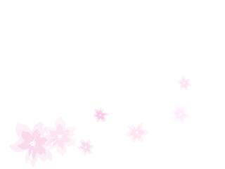 pink flower background