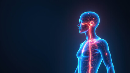 Medical imaging showing a human torso with highlighted areas for VNS (Vagus Nerve Stimulation) therapy.