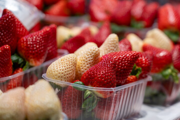 Erdbeeren an einem Markt