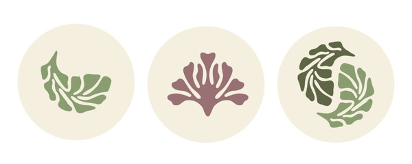 Fototapeta premium Abstract botanical compositions with flower and leaves on round background. Vector hand drawn art for social media, decals, prints, posters, home decor