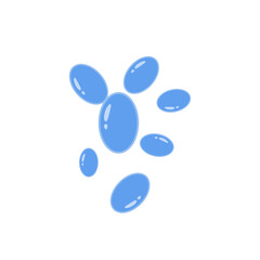 Saccharomyces boulardii colony. Probiotic, beneficial bacterias for human health and beauty. Vector illustration.