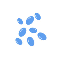 Saccharomyces boulardii colony. Probiotic, beneficial bacterias for human health and beauty. Vector illustration.