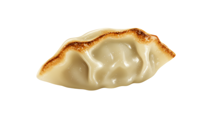 Delicious golden cooked dumpling showcasing unique shape and texture ideal for culinary imagery