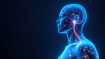 A representation of a human head with an illuminated brain area focused on the VNS or vagus nerve stimulation.