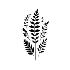 Fototapeta premium Minimalist Black Botanical Illustration on White Background