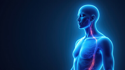 Human head with highlighted VNS or Vagus Nerve Stimulation representation, emphasizing medical implantation concept.
