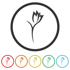 Rose abstract logo. Set icons in color circle buttons