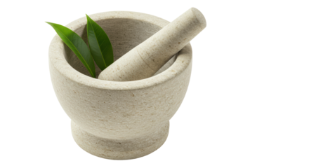 Isolated Mortar and Pestle with Green Leaves