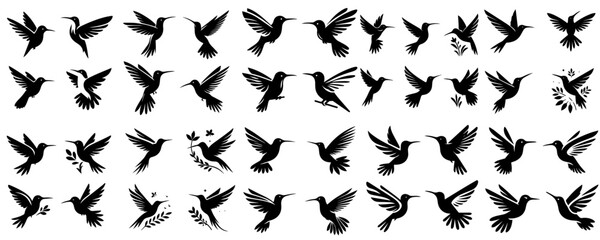 hummingbird silhouette collection with white background