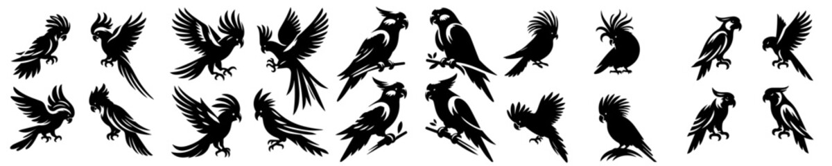 Parrot silhouette collection with white background