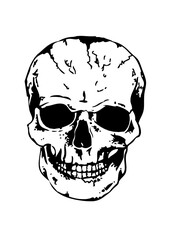 tete de mort crane tattoo old school halloween