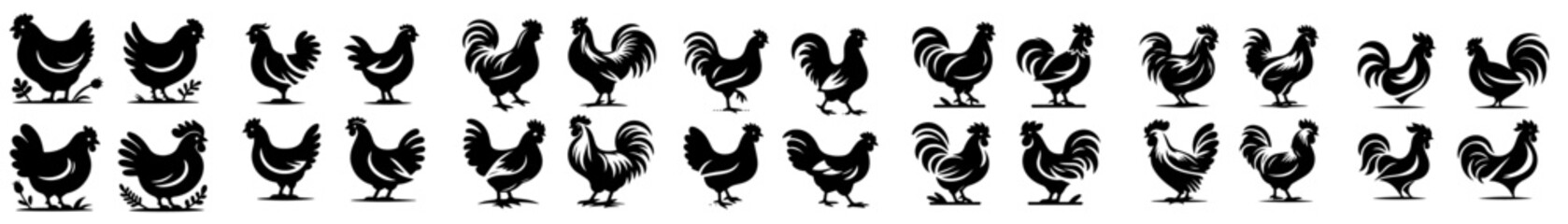 Beautiful collection of Rooster silhouettes on white background