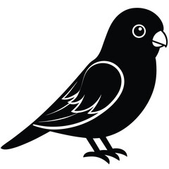 lovebird vector