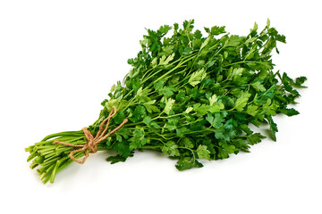 Fresh parsley bunch tied with twine, isolated on white background.