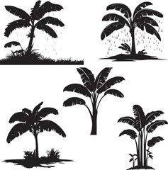 Banana Tree in heavy Rain Leaves silhouette © Umar