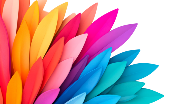 Colorful feathers arranged on black background, cut out transparent