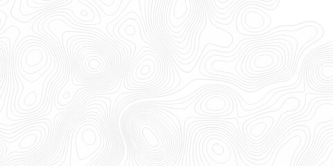 Abstract topography pattern seamless lines sea map modern design white background. Abstract digital topographic contour map concept space geometric strip grid line. Natural discovery of maps.