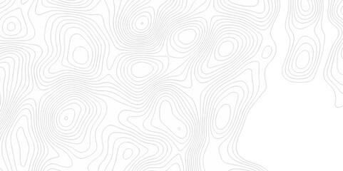 Abstract topography pattern seamless lines sea map modern design white background. Abstract digital topographic contour map concept space geometric strip grid line. Natural discovery of maps.