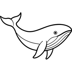 Whale vector line art on white baclground