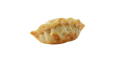 Golden brown crispy dumpling with delicate texture and appealing shape