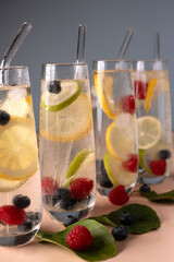 refreshing glassware with fruit-infused sparkling water featuring fresh lemons, limes, raspberries, and blueberries, elegantly placed with a clean modern look against a soft background, background