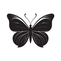 A Butterfly Vector Art illustration Silhouette 