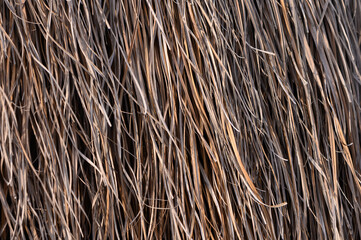 Detailed patterns of dry straw in sunlight creating a warm and rustic texture at a rural location