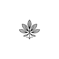 Elegant Minimalist Leaf Logo Design, Botanical Illustration
