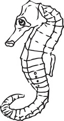  How to draw Seahorse step by step