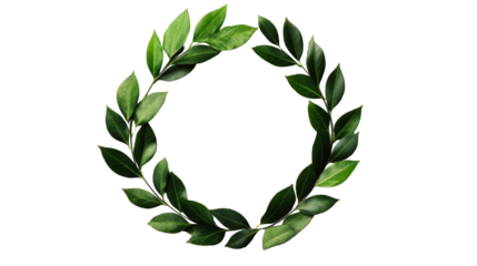Decorative green laurel wreath, foliage arrangement, nature, cut out transparent