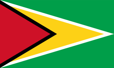 Vector flag of Country, a country in South America. Accurate dimensions and official colors. This file is suitable for digital editing and printing of any size.