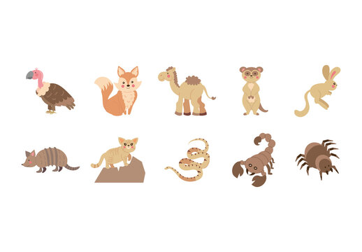 Colorful Cute Desert Wildlife Animals Illustration Set