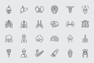 Human Anatomy Icons Collection Vector Medical Organs And Body Parts Outlines
