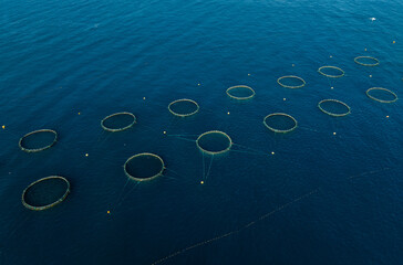 Drone top view of tuna rungs in Mediterranean sea. Tuna fish farm