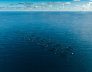 Drone top view of many tuna rungs in Mediterranean sea. Tuna farm
