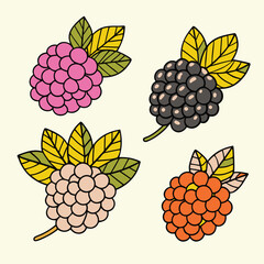 Modern and Vintage Blackberry Fruit Illustrations – Flat Color and Bold Silhouette Styles for Branding, Packaging, and Organic Design.