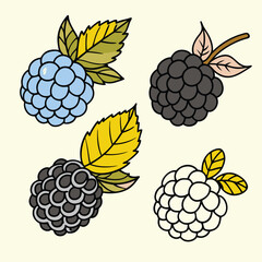 Modern and Vintage Blackberry Fruit Illustrations – Flat Color and Bold Silhouette Styles for Branding, Packaging, and Organic Design.