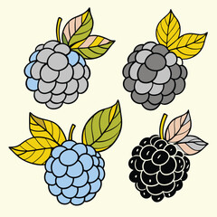 Modern and Vintage Blackberry Fruit Illustrations – Flat Color and Bold Silhouette Styles for Branding, Packaging, and Organic Design.