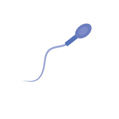 Sperm morphology. Male reproductive system.