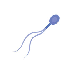 Sperm morphology. Male reproductive system.