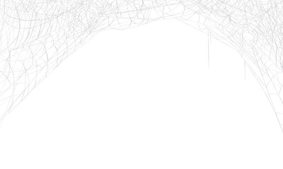 Cobweb overlay on transparent background