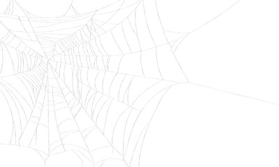 Spider web on transparent background
