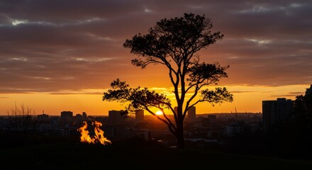Sunset Cityscape with Silhouetted Tree and Fire - A captivating sunset over a city skyline, silhouetted by a prominent tree and a fire in the foreground. Warm colors dominate the sky