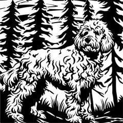 Fototapeta premium poodle, dog, spaniel, cocker, animal, pet, puppy, isolated, cocker spaniel, cute, white, canine, breed, purebred, mammal, brown, sitting, pedigree, studio, domestic, portrait, pets, black, looking, is