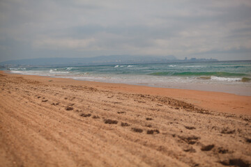 view of the beach