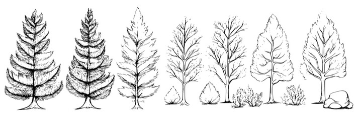 Naklejka premium Collection of Cedars coloring book vector designs, Cedars vector illustrations