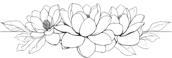 Collection of Magnolias coloring book vectors, Magnolias illustration art